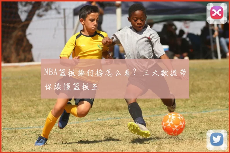 NBA篮板排行榜怎么看？三大数据带你读懂篮板王