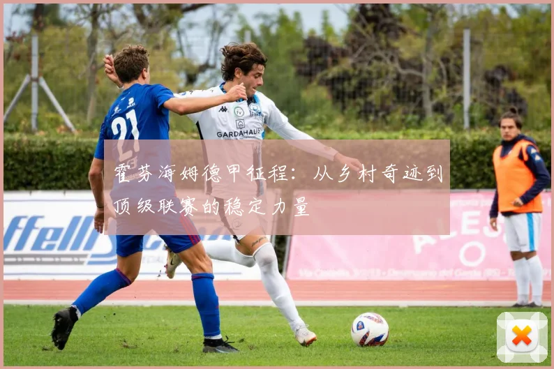 霍芬海姆德甲征程：从乡村奇迹到顶级联赛的稳定力量