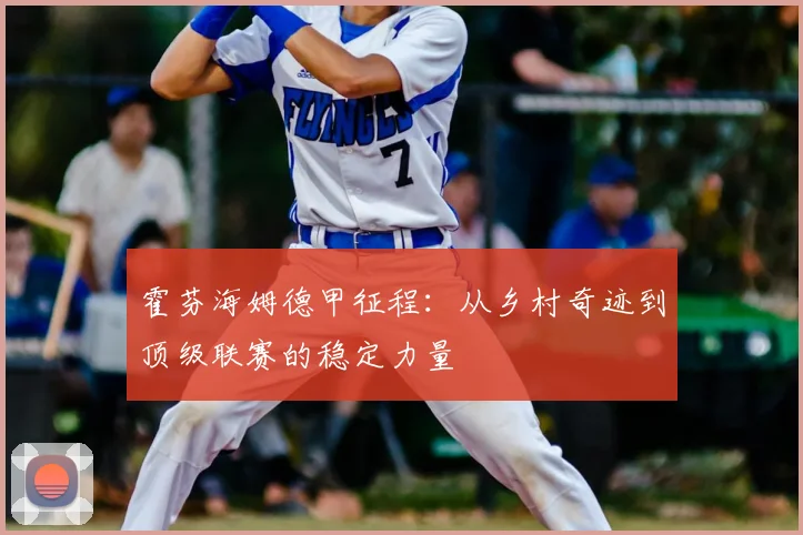 霍芬海姆德甲征程：从乡村奇迹到顶级联赛的稳定力量